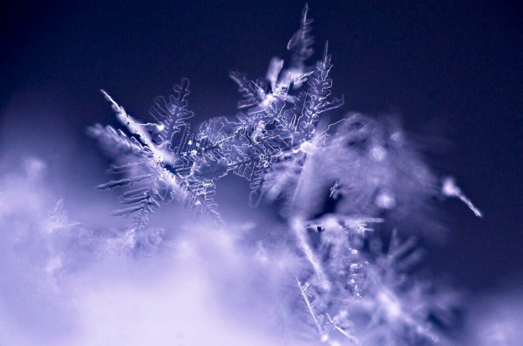 snowflake, winter, season-6566453.jpg