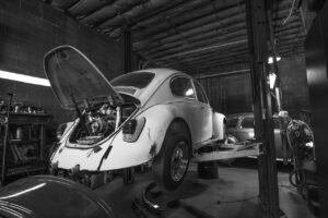 beetle, vw, bug-5523224.jpg